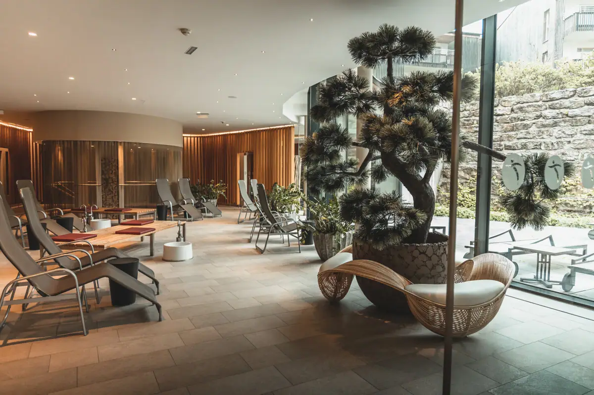 A room with a tree and several loungers.