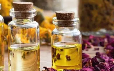 Close-up of bottles of essential oils.