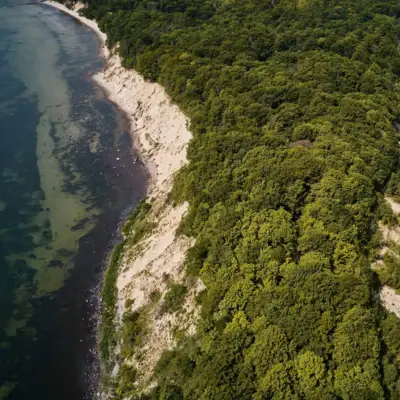 Aerial view of Rügen Aerial view of a beach with trees in the foreground and water in the background.