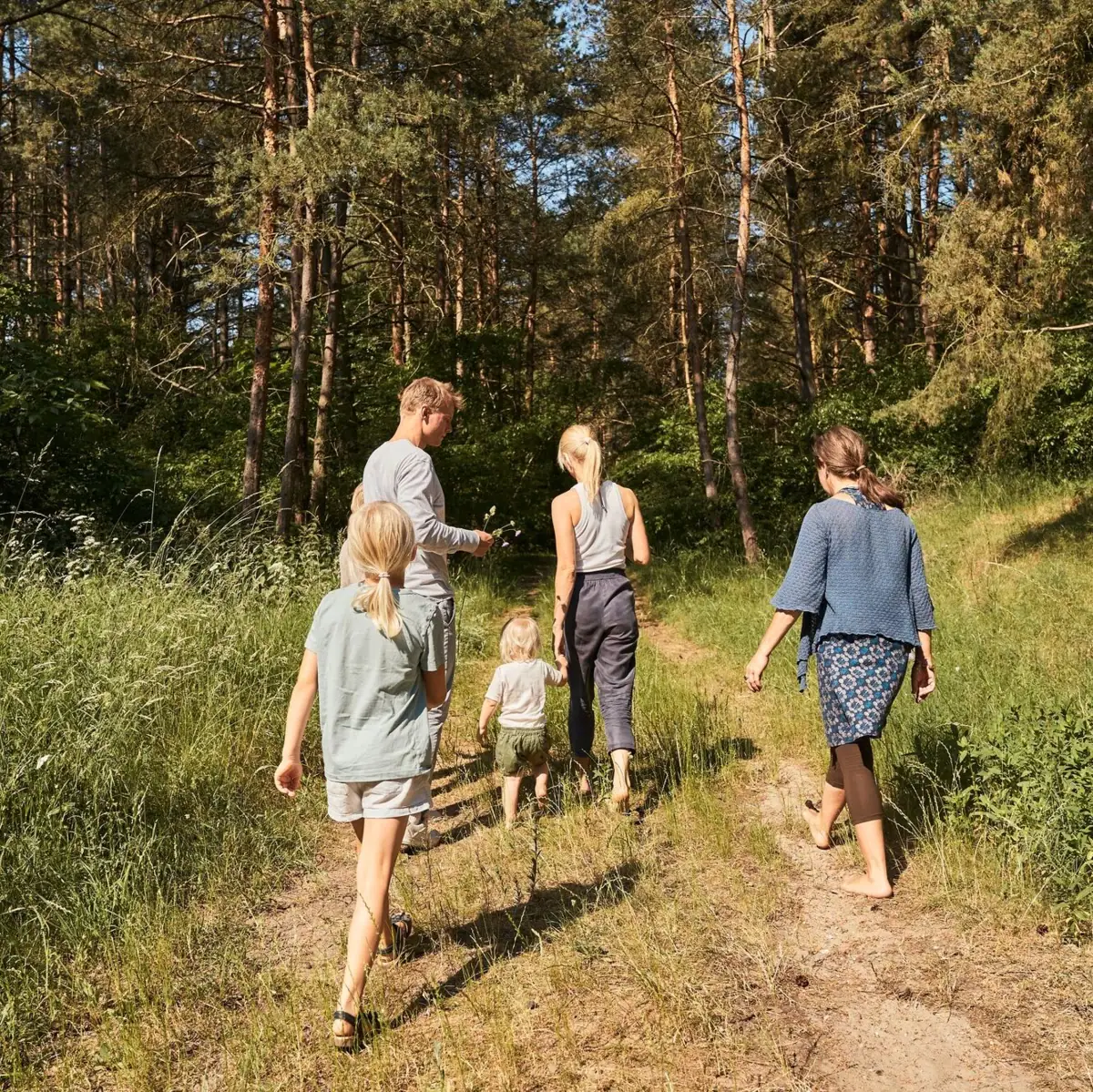 A group of people are walking along a path in the forest.