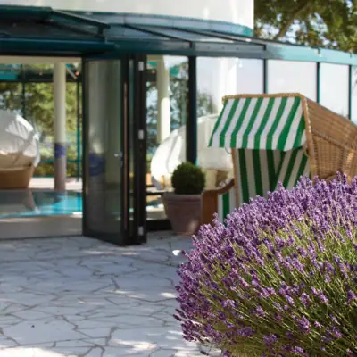 Purple flower next to a pool