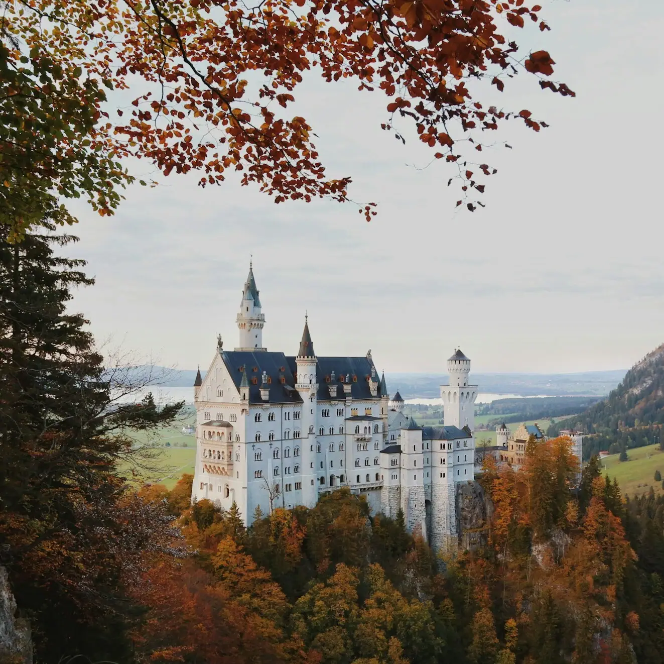 Neuschwanstein Castle Neuschwanstein Castle on a hill with trees and mountains in the background.