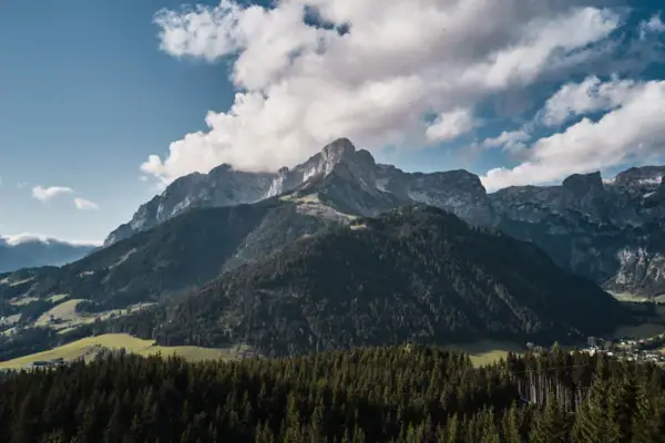 Mountain landscape with trees and clouds.
