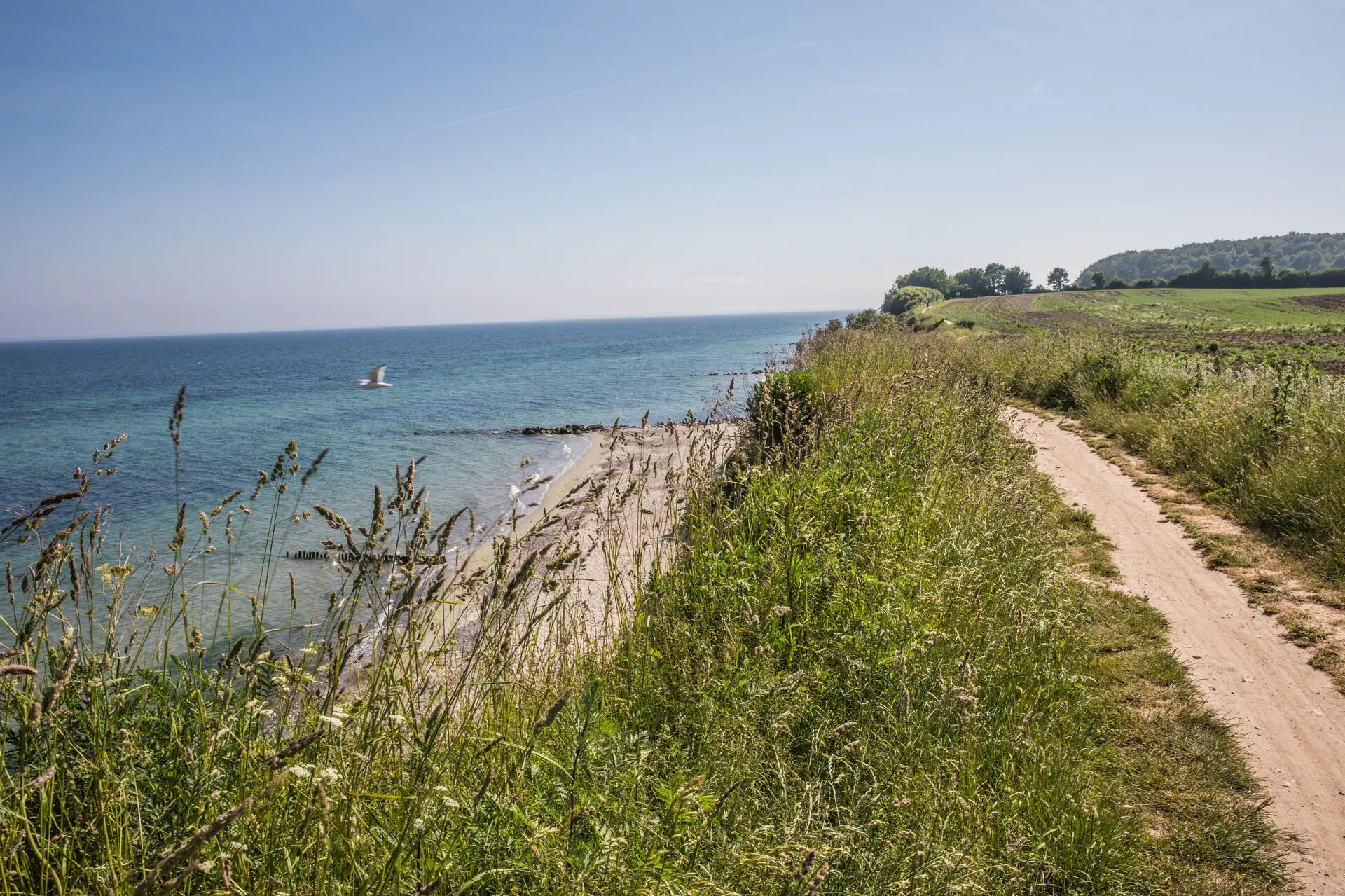 A path along the Baltic coast in the countryside.