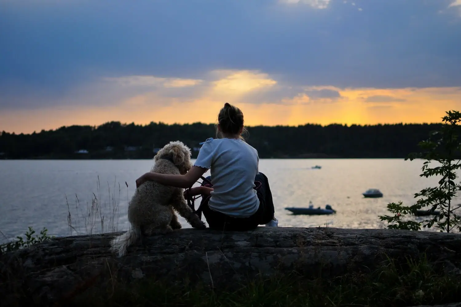 A woman and a dog are sitting on a tree trunk by the water.