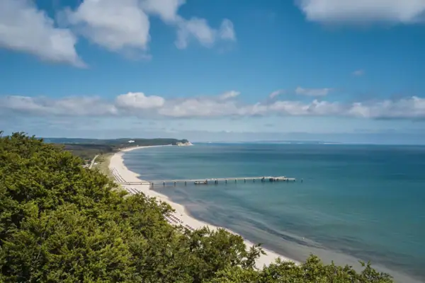 A beach with a pier and trees.