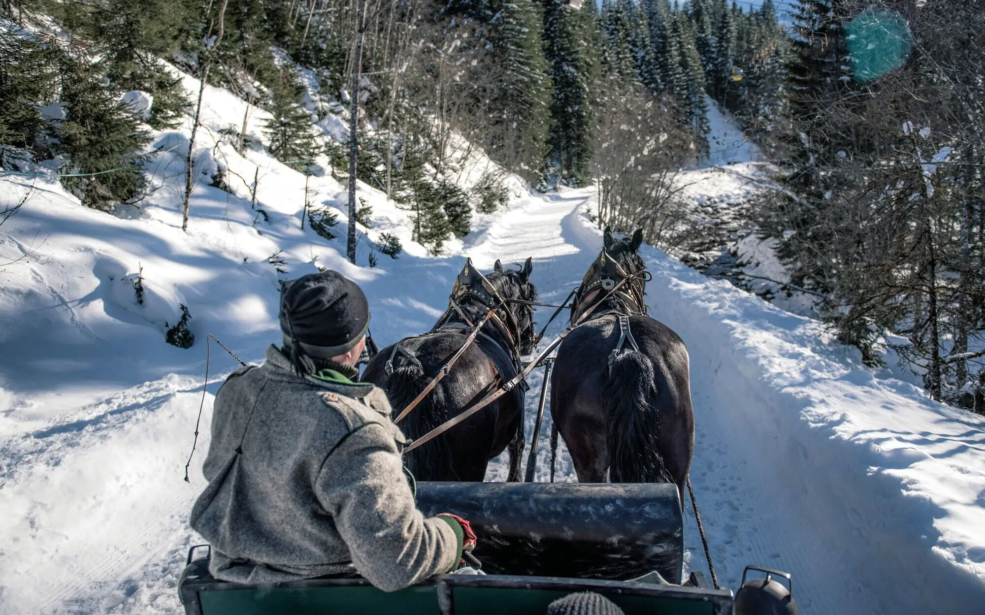 Group of people riding in a horse-drawn carriage through a snowy landscape.