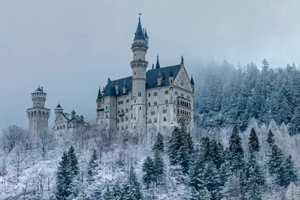Neuschwanstein Castle on a hill surrounded by snow-covered trees in winter.