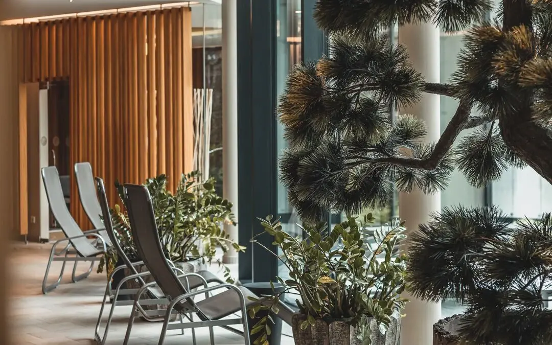 A room with chairs and a Christmas tree.