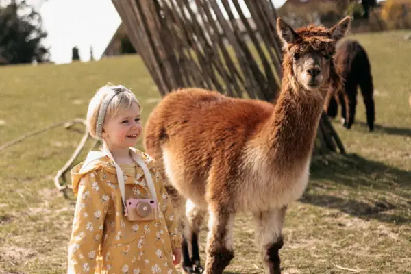 A girl stands next to a llama outdoors.