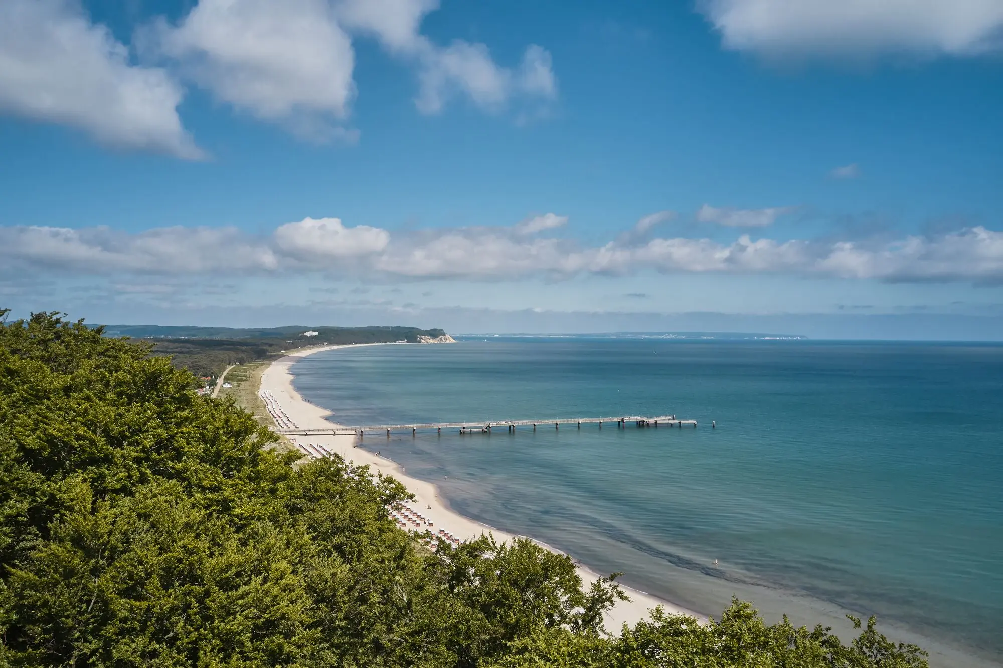 A beach with a pier and trees in the foreground.