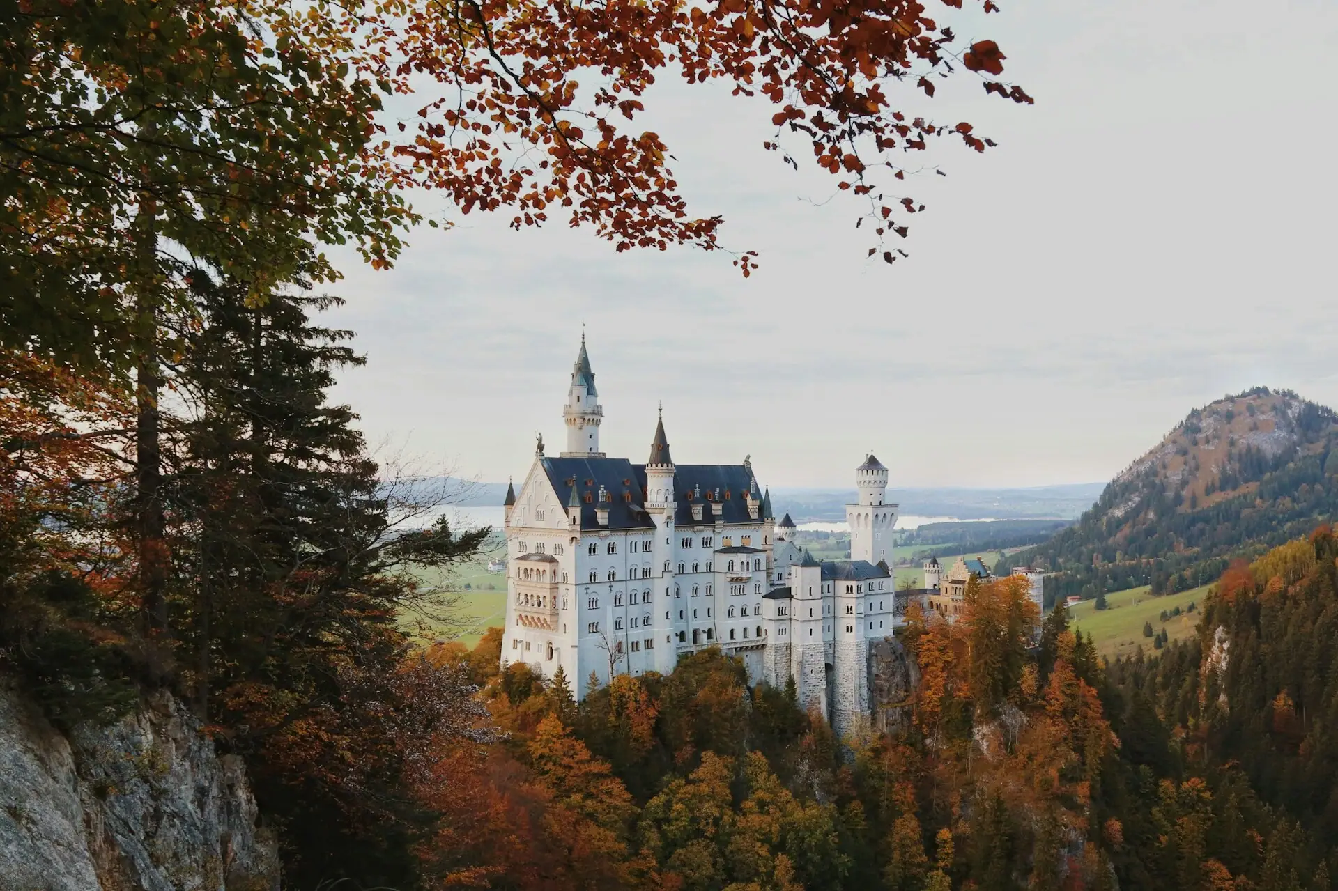 Neuschwanstein Castle A castle on a hill with trees and mountains in the background.