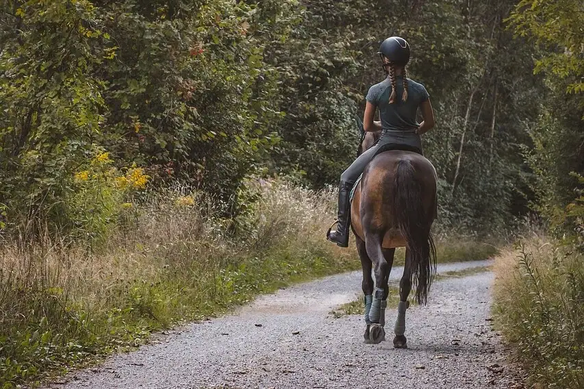 A woman rides a horse on a path.