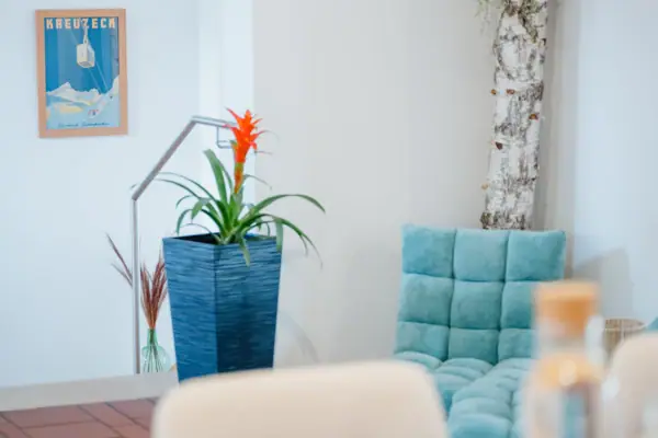 A blue sofa with a plant in a blue pot.