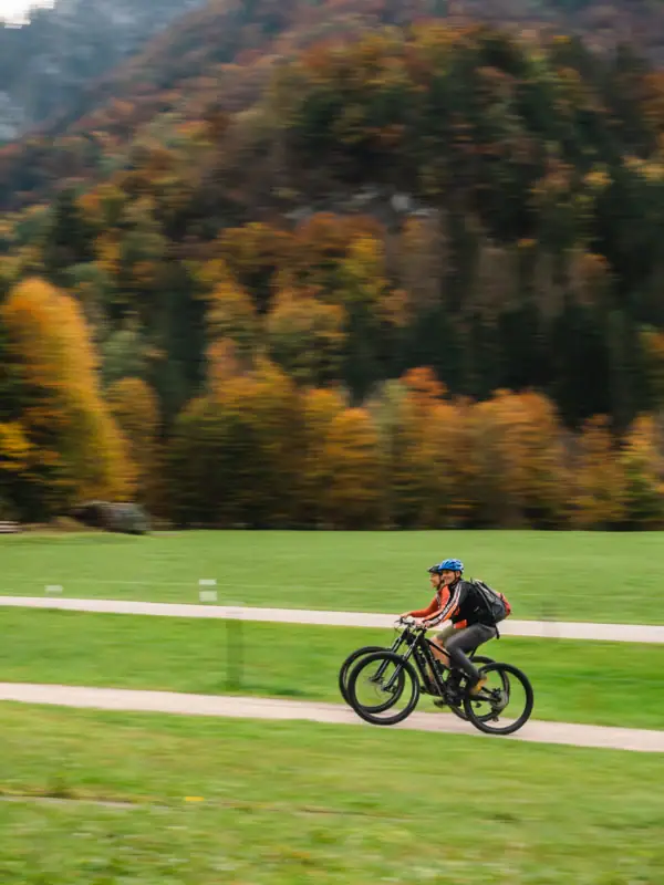 Mountain biking A person is riding a bicycle on a path in a grassy field.