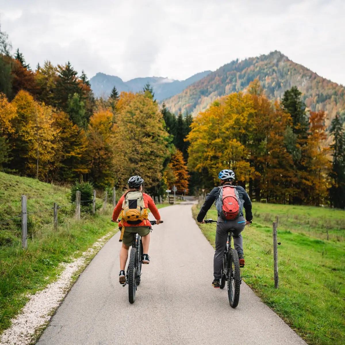 Bike tour Two people riding bicycles on a road with trees in the background.
