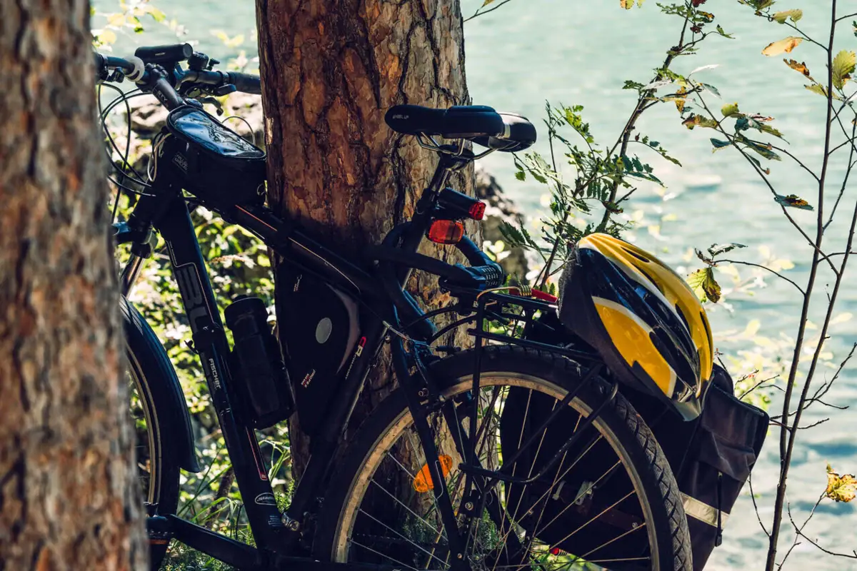 Bicycles Eibsee A bicycle leans against a tree.