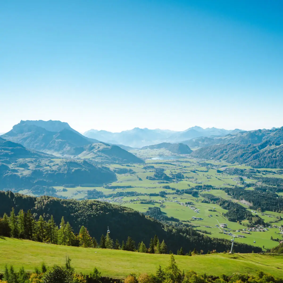 Green valley with mountains and trees.