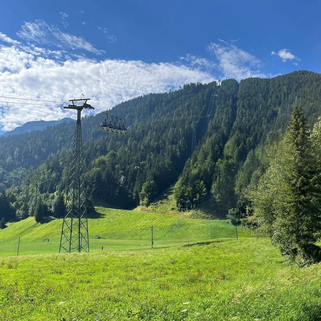 Karwendel mountain railway on Lake Achensee Power line in a grassy field with trees and blue sky.