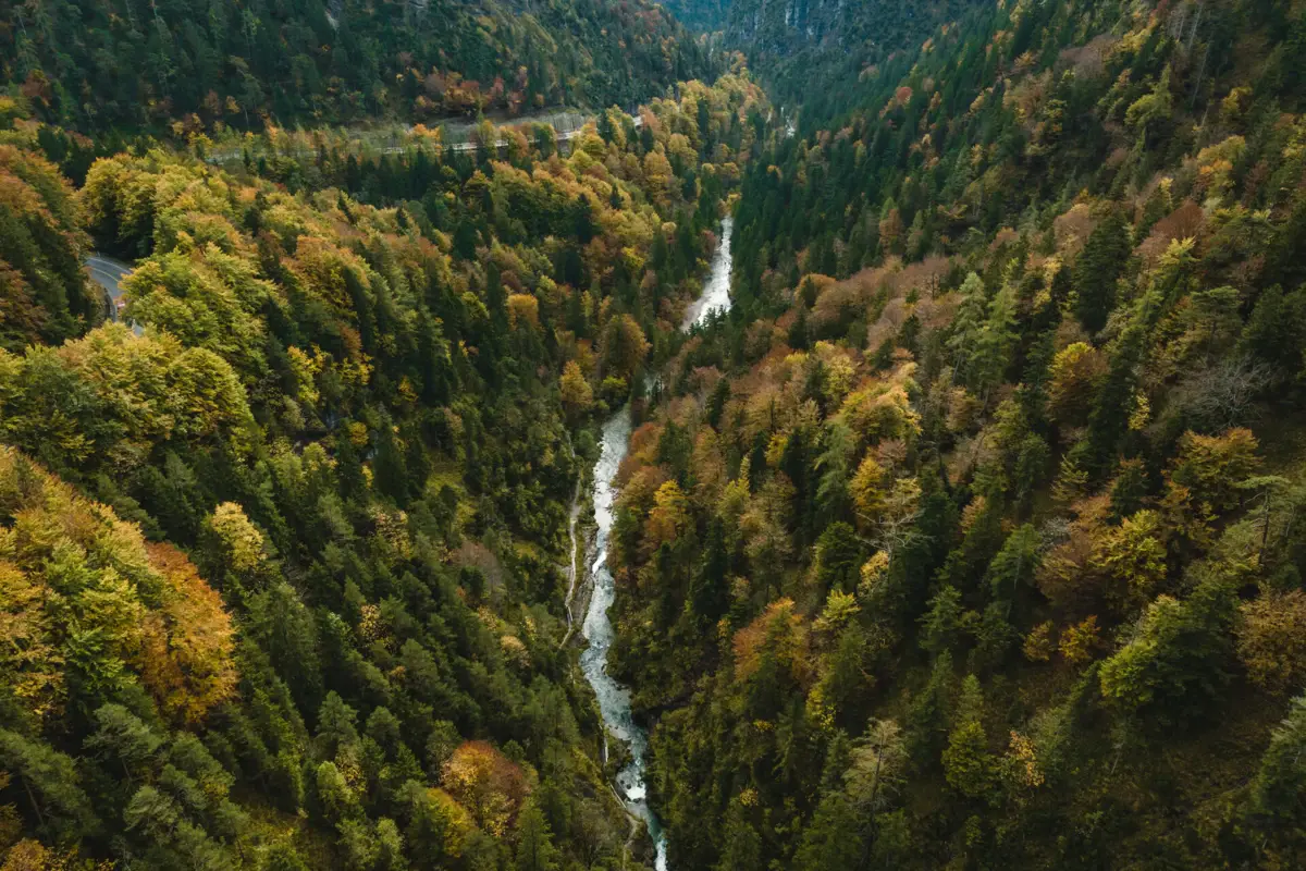Weißbach Gorge A river flowing through a forest.