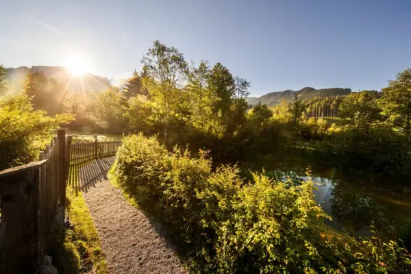 A path leads to a pond surrounded by trees and a fence.