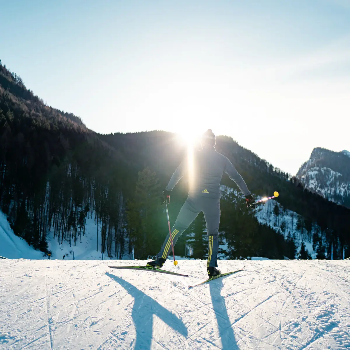 Cross-country skiing A person on skis on a snowy hill.