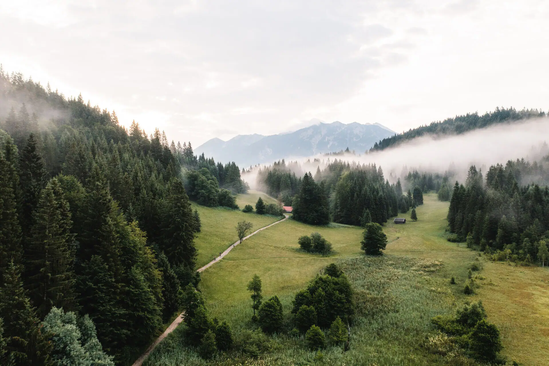 Garmisch landscape Landscape with trees and fog.