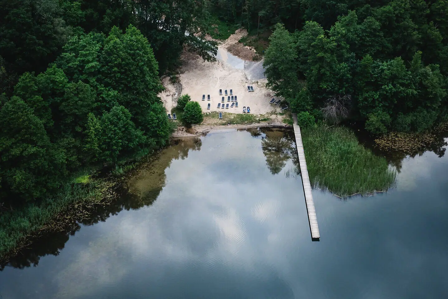 A body of water with a jetty and trees.