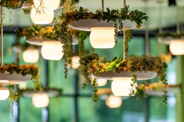 Illuminated plant arrangement with several light sources.