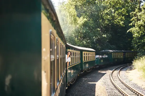 Historic narrow-gauge railway "Rasender Roland" runs through a green forest landscape on Rügen; a woman leans out of the window smiling and enjoying the ride.