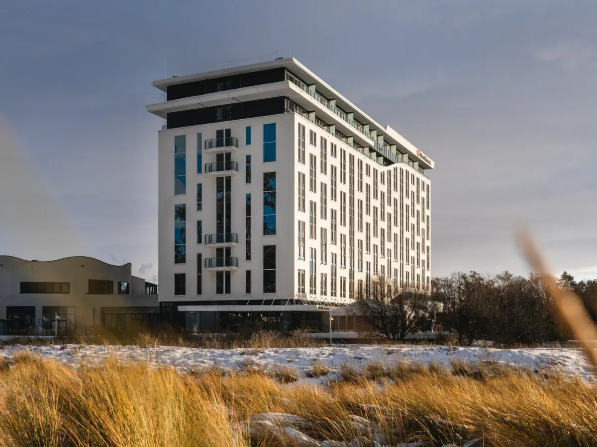 Tall grass and a building in the snow