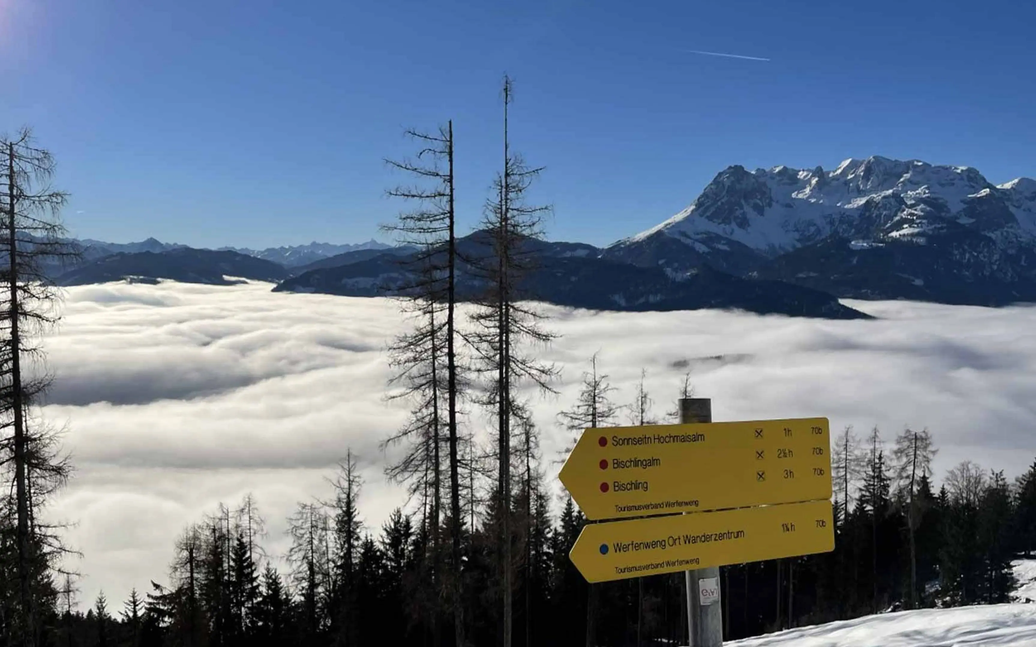 Signpost on a snowy mountain with trees and mountain scenery in the background.