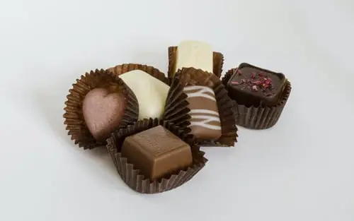 An assortment of elegant pralines in various shapes and flavors, displayed in brown paper wrappers against a minimalist white background