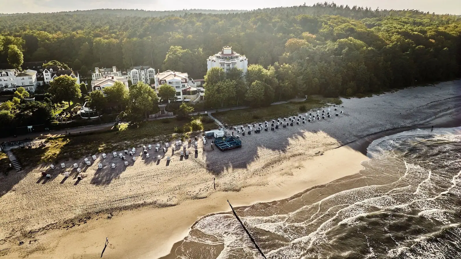 A beach with lots of beach chairs and trees.