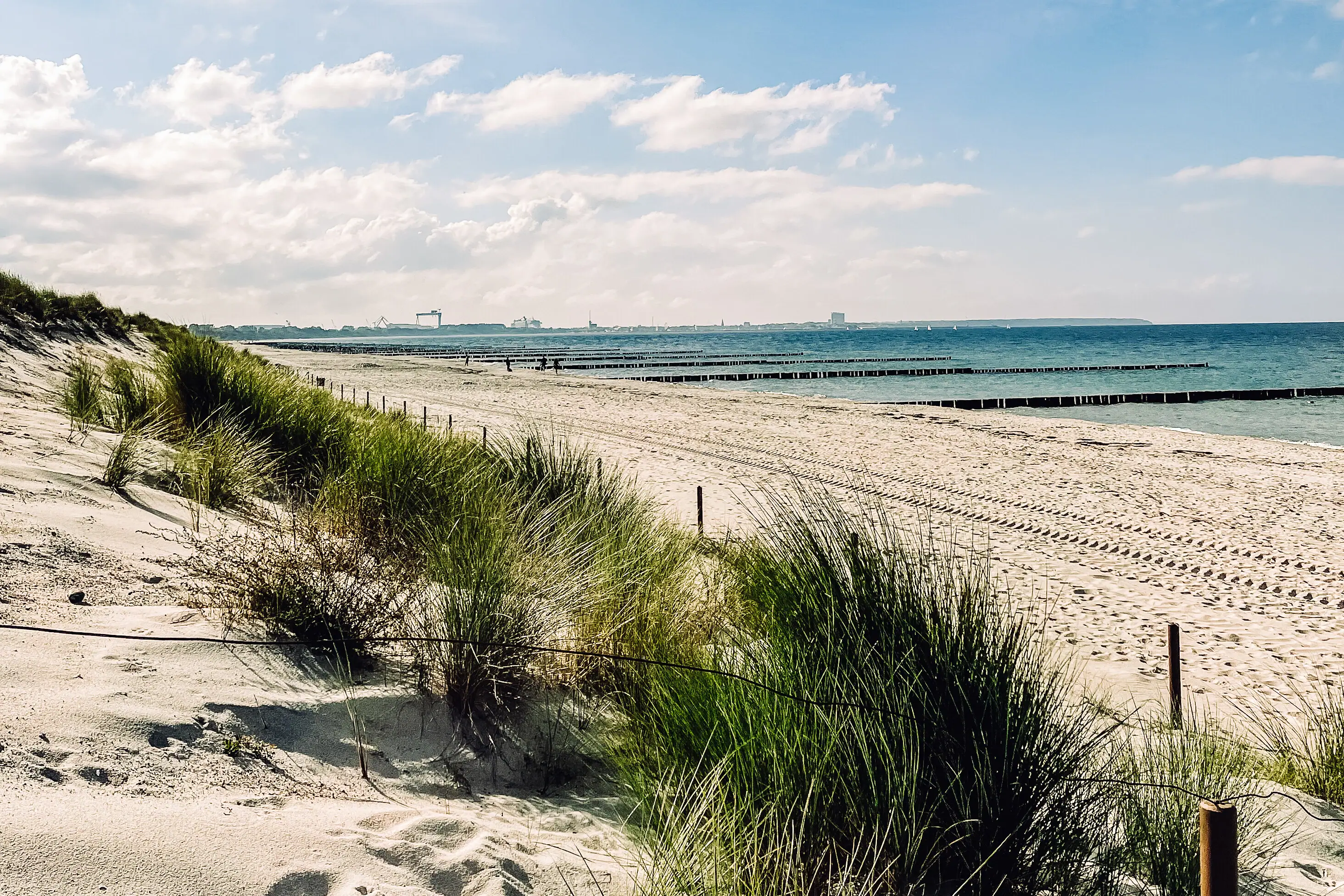 Sandy beach with plants and water in the background
