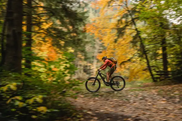 Mountain biking A person is cycling through the forest.