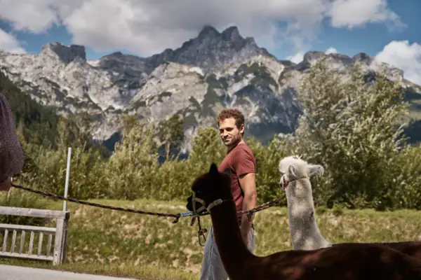 Ein Mann steht neben Alpakas im Freien.
