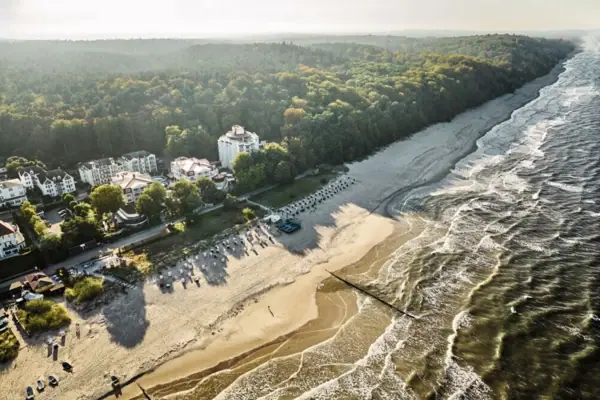 Aerial view of a beach with trees and buildings in the background.