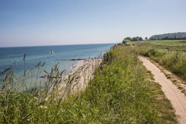 A path along the Baltic coast in the countryside.