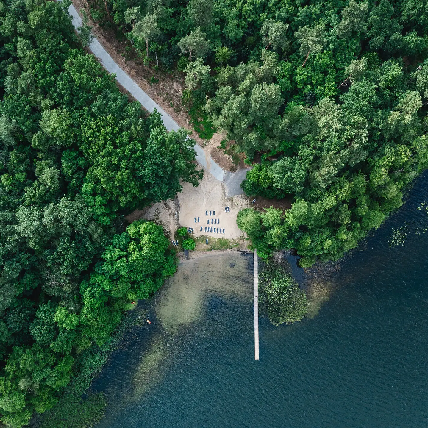 Offers at the aja Bad Saarow A bridge over a body of water with trees.