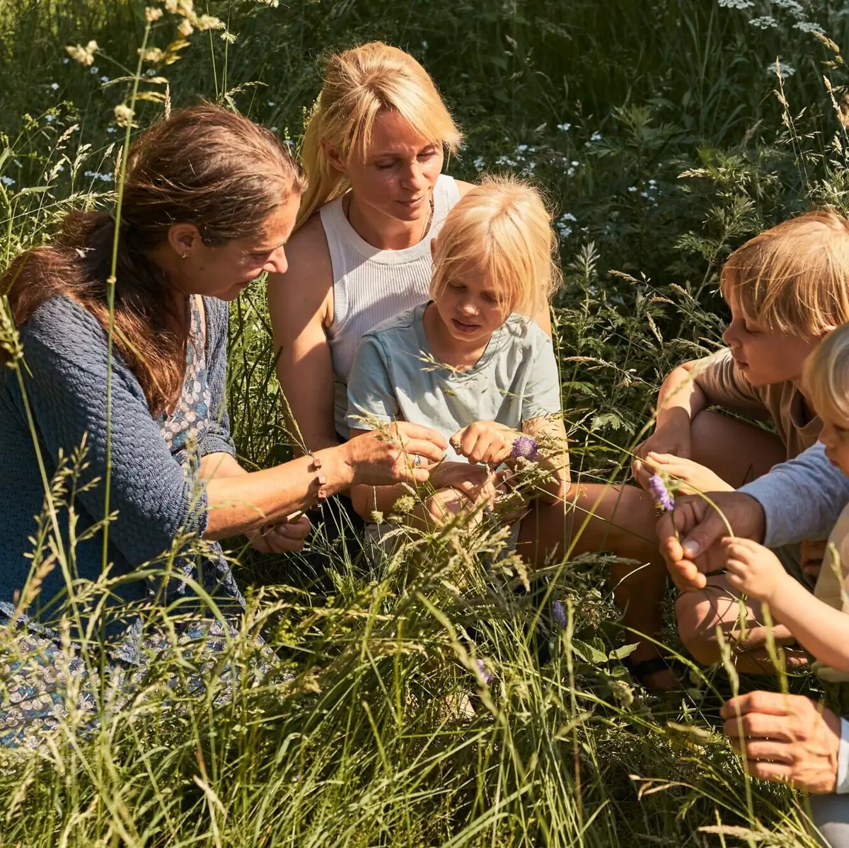A group of people in a meadow.