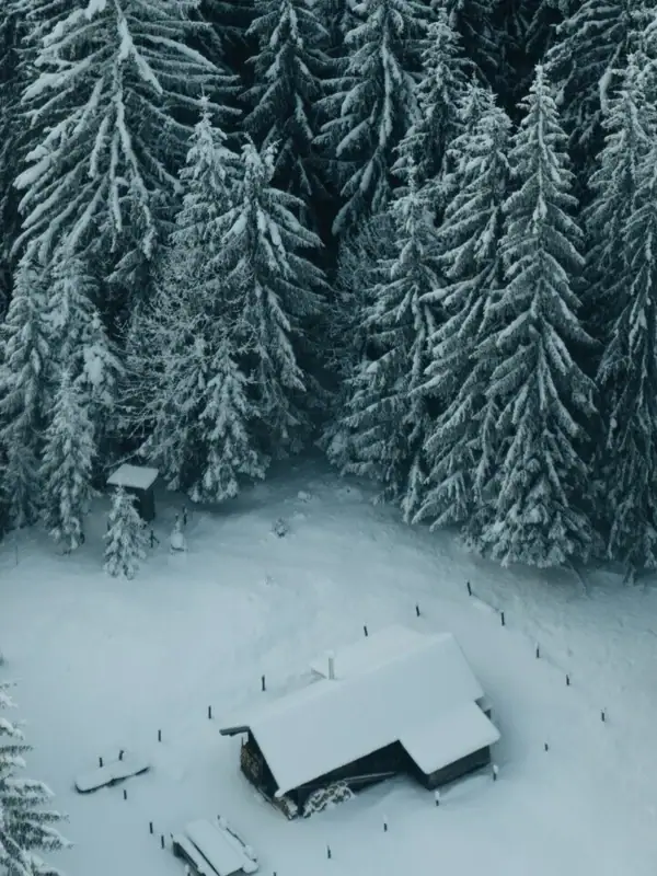 A hut in the snow surrounded by snow-covered trees.