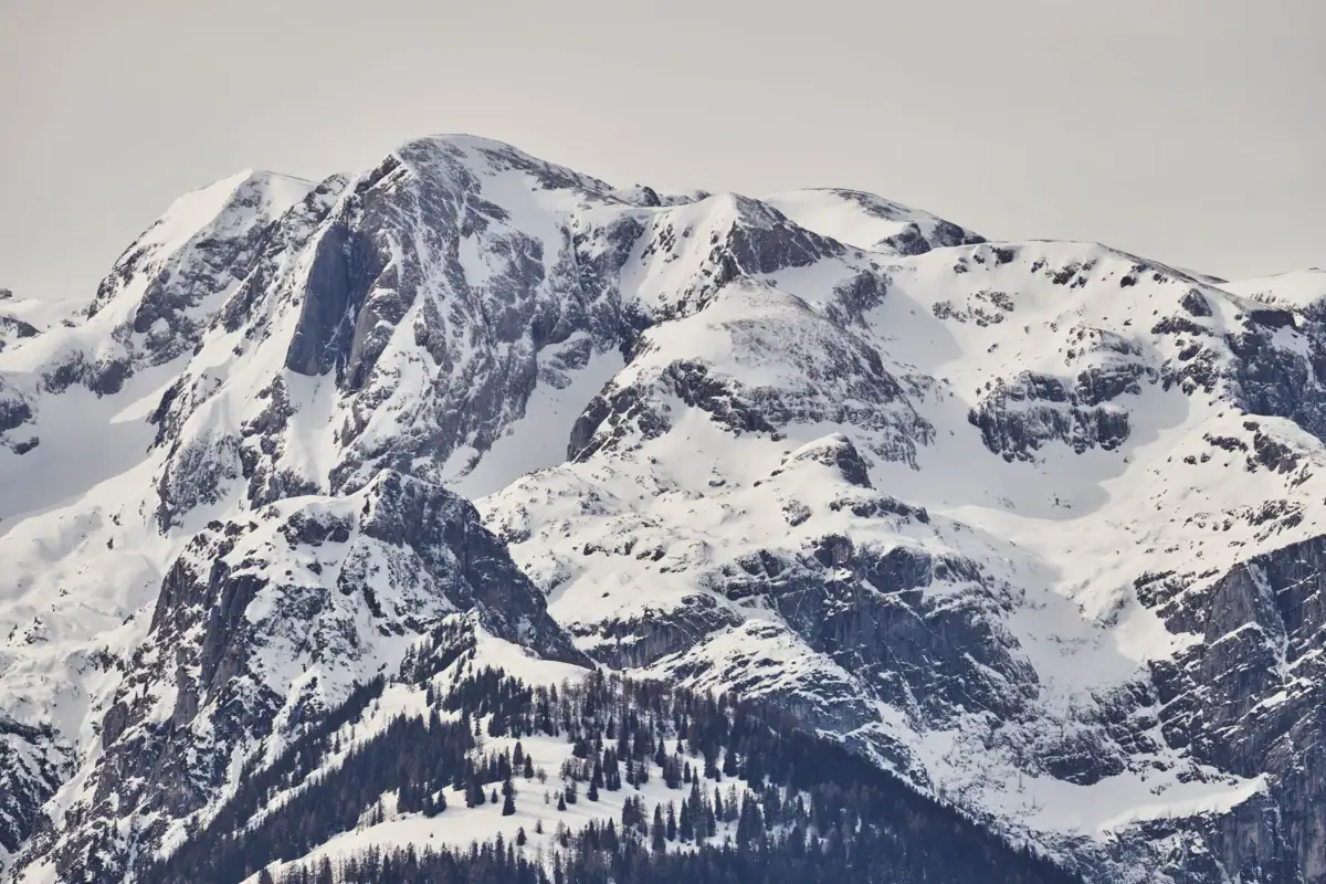 Snowy mountain Snow-covered mountain with trees in the foreground.