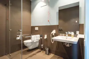 Disabled-friendly room A bathroom with shower and toilet.