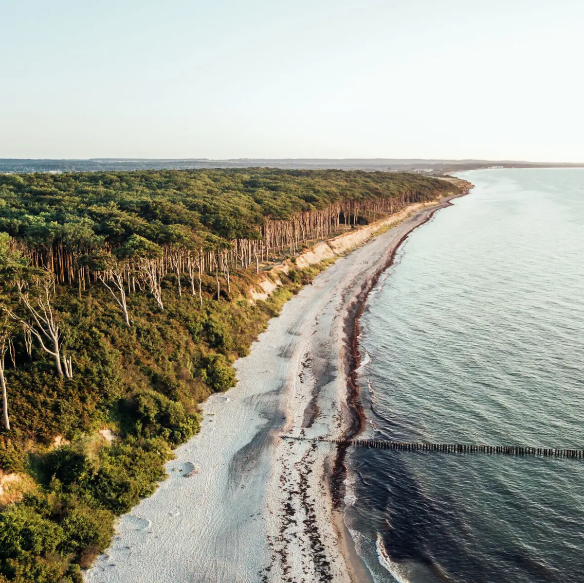 Beach with trees and a body of water in the foreground.