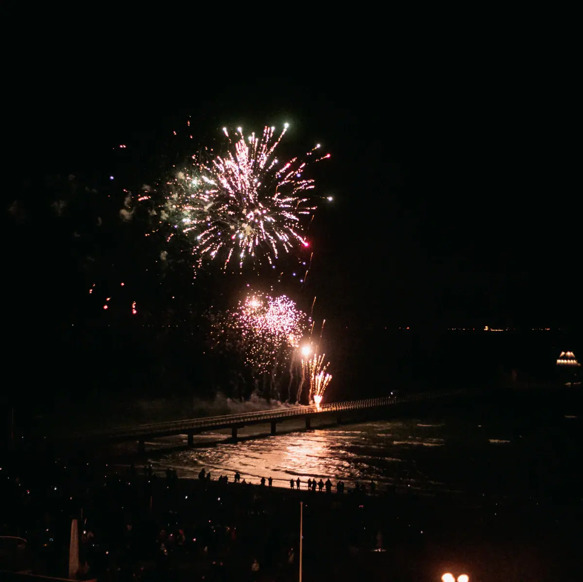 Fireworks in the night sky