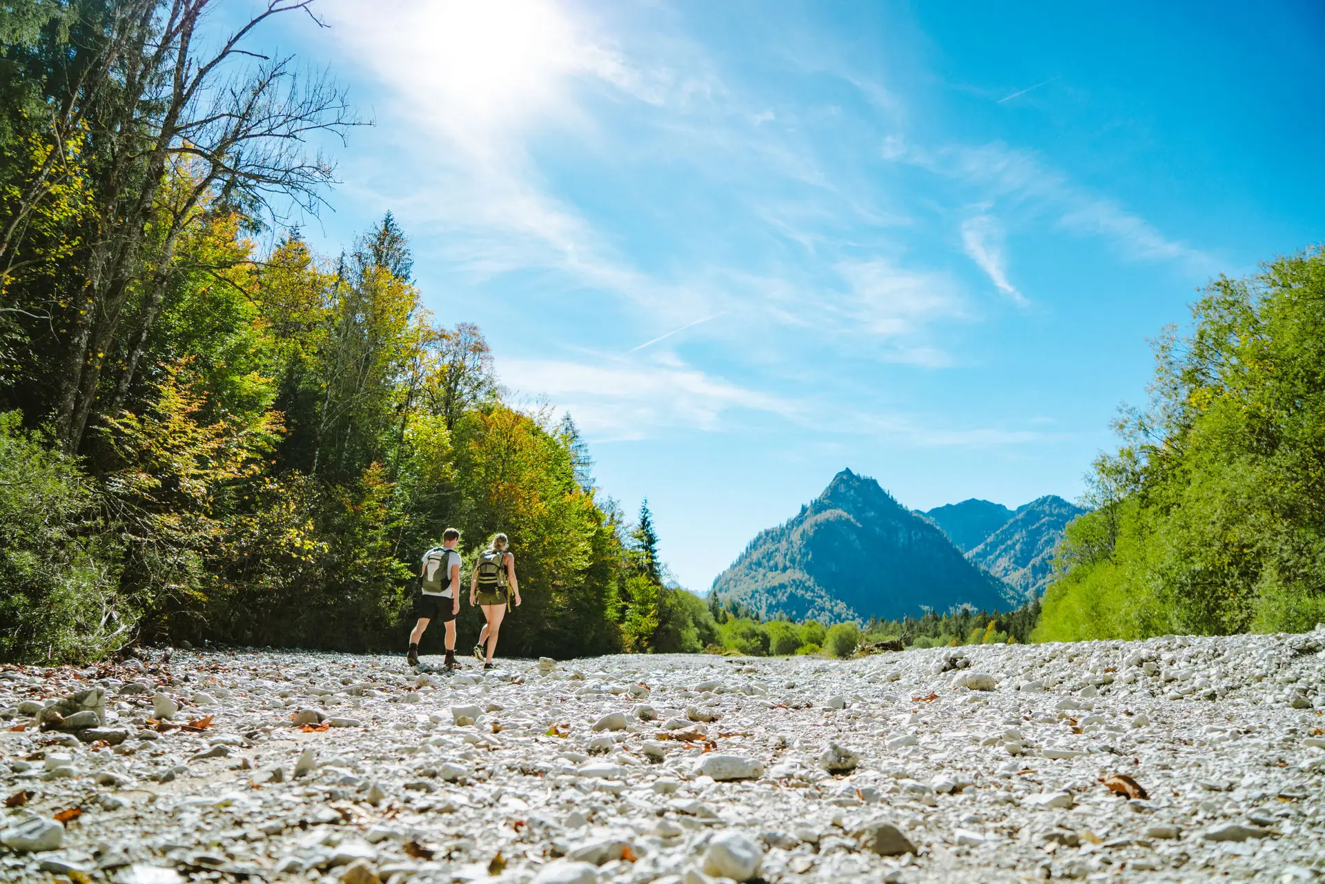 A group of people walk along a rocky path with trees and mountains in the background.