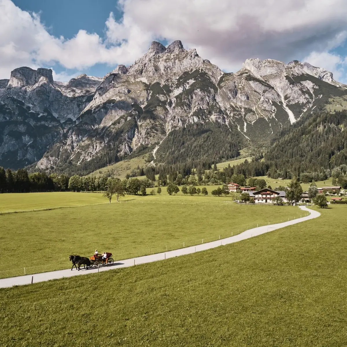 Horse-drawn carriage on a path in a meadow with mountains in the background.