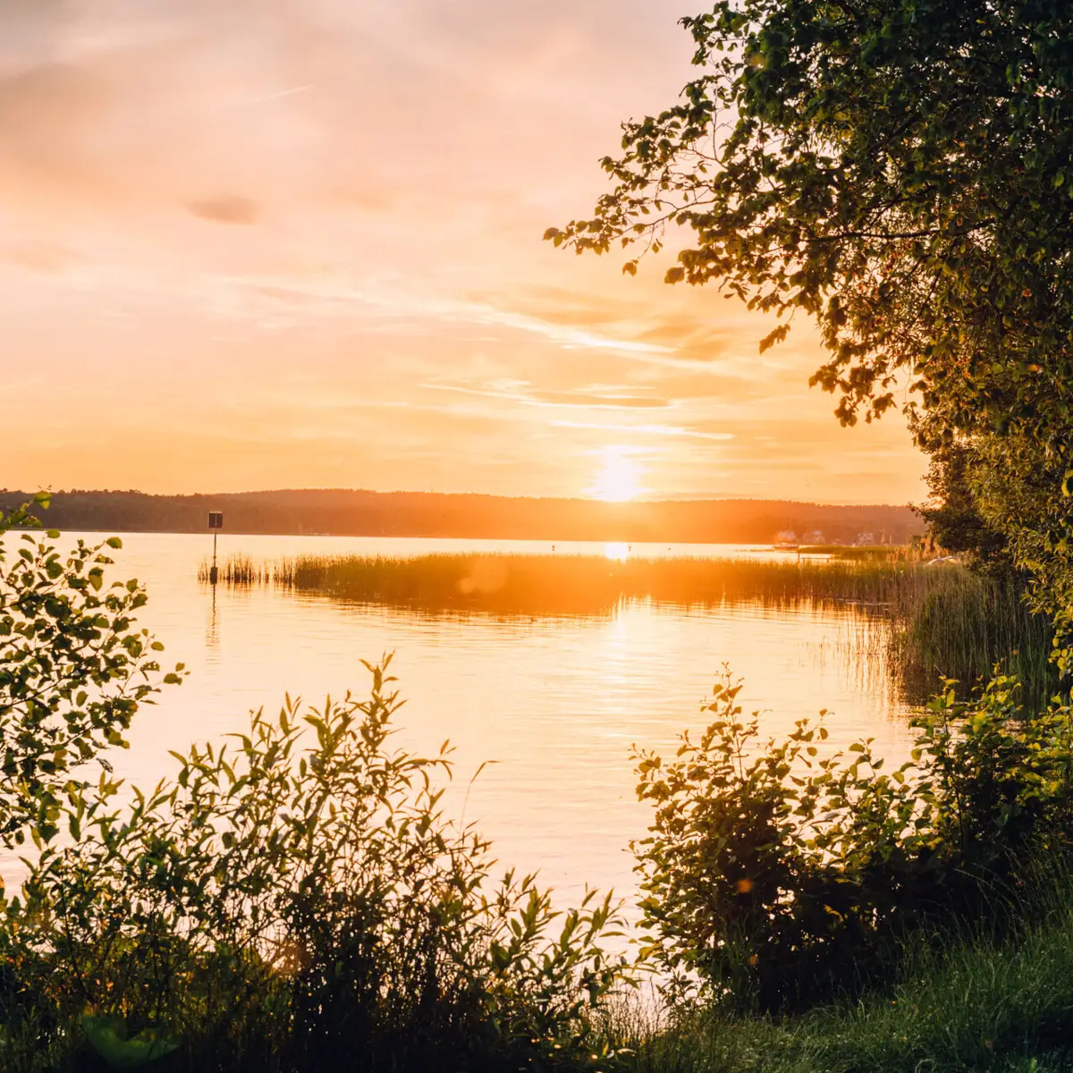 Sunset at the lake Sunset over a lake with trees in the foreground.