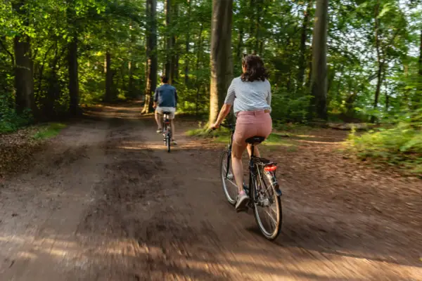 A man and a woman are riding bicycles on a forest path.